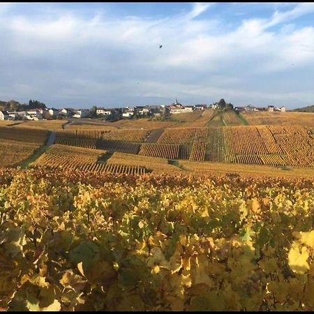 Gite En Champagne Le Sarment Cramant Eksteriør bilde