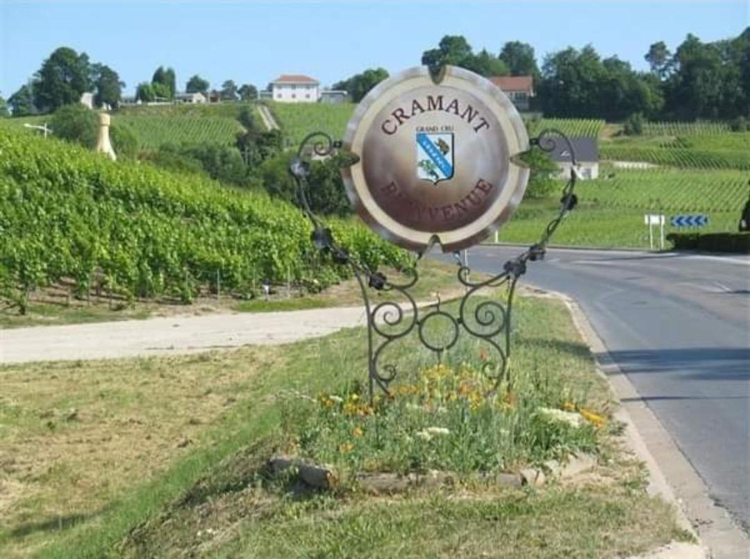 Gite En Champagne Le Sarment Cramant Eksteriør bilde