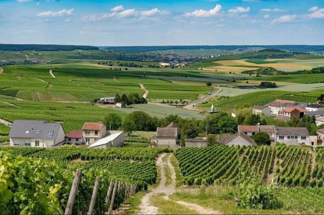 Gite En Champagne Le Sarment Cramant Eksteriør bilde